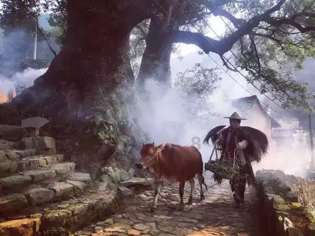 心灵杀手